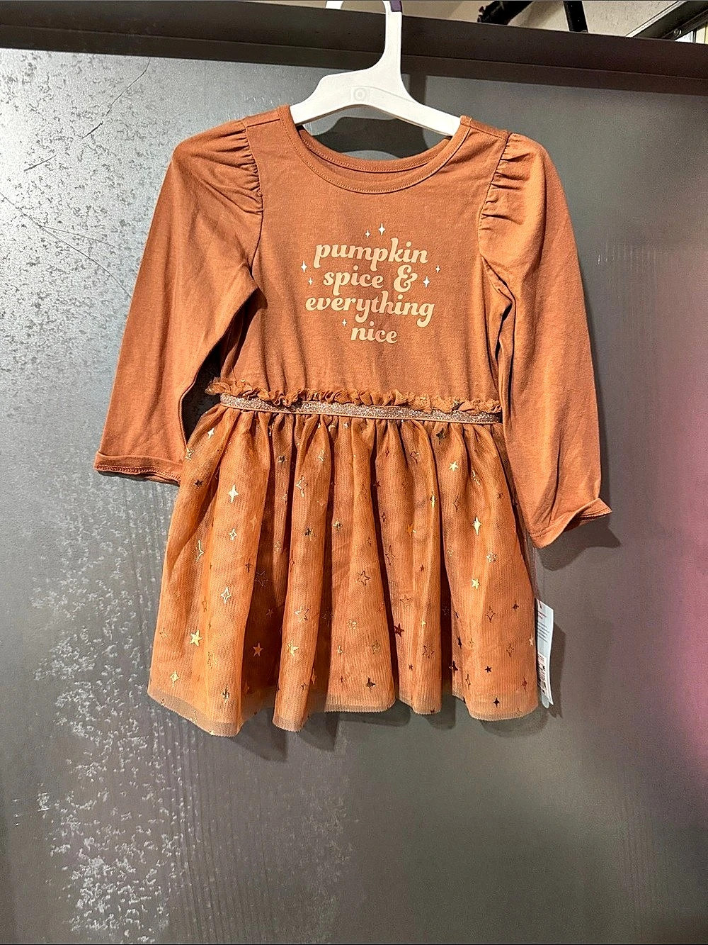 Cat & Jack Girls Orange Long Sleeve Dress